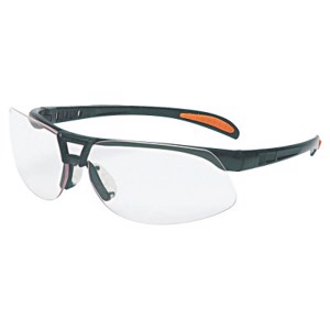 Protégé Safety Glasses, Anti-Fog