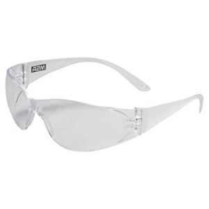 Arctic Safety Glasses